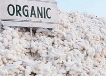 organic cotton