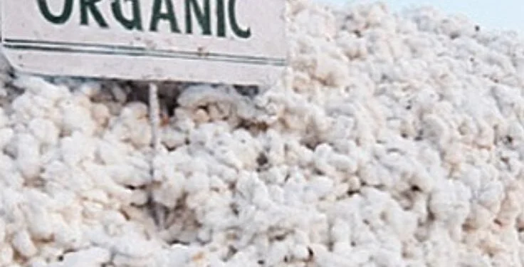 organic cotton