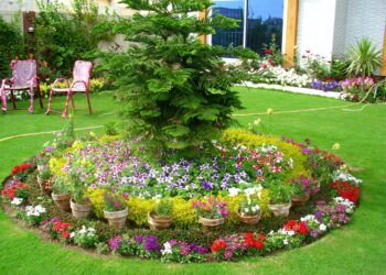How Do I Design My Garden? 6 How Do I Design My Garden?