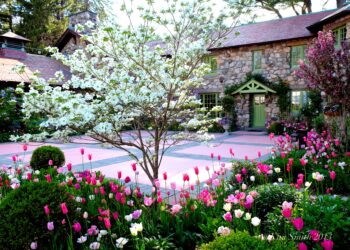 My Magical Garden In Spring 3 garden in spring