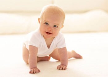 Baby development: The baby in the 6th month 6 60