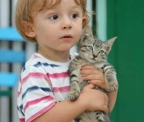Cats and Children - a Good Team? 7 cats