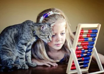 What cats and children have in common 4 cats and small children have in common