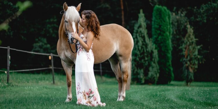 Your Horse