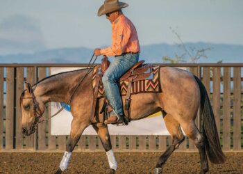 Western Riding Guide 6 Western riding