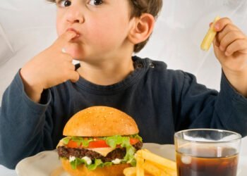 fast food; know what to feed your child 10 fast food
