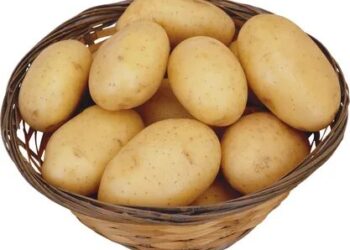 Baked potatoes, boil first or not? 7 Baked potatoes
