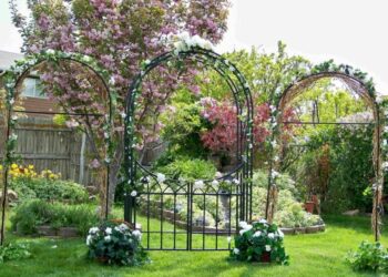 The 5 Best Garden Arches Of 2022 1 garden arch