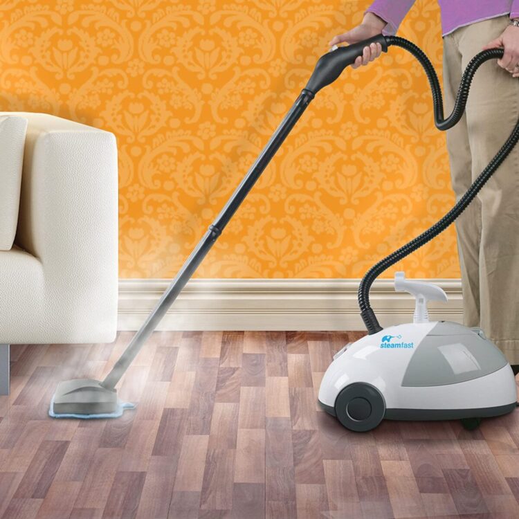 Steamer Cleaner