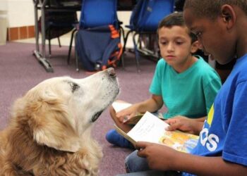 Boys And A Dog Homemaking Homeschooling Tips For Busy Folks  3 Boys And A Dog Homemaking Homeschooling Tips For Busy Folks
