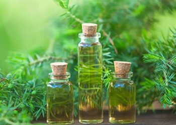 Tea Tree Oil