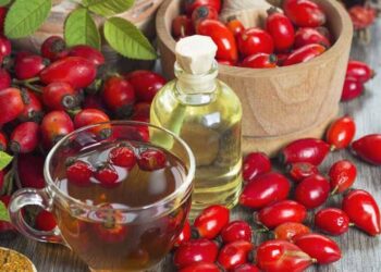 Best Rosehip Oils Of 2022 2 rosehip oil