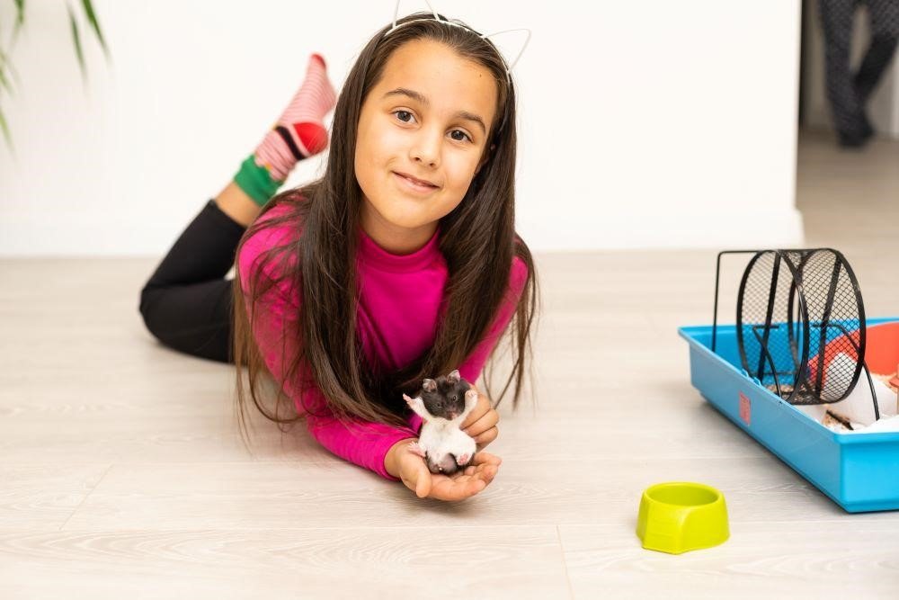 How to Pick Guinea Pig Cages for Your Very Active Pets 3 Choosing the Right Guinea Pig Cages