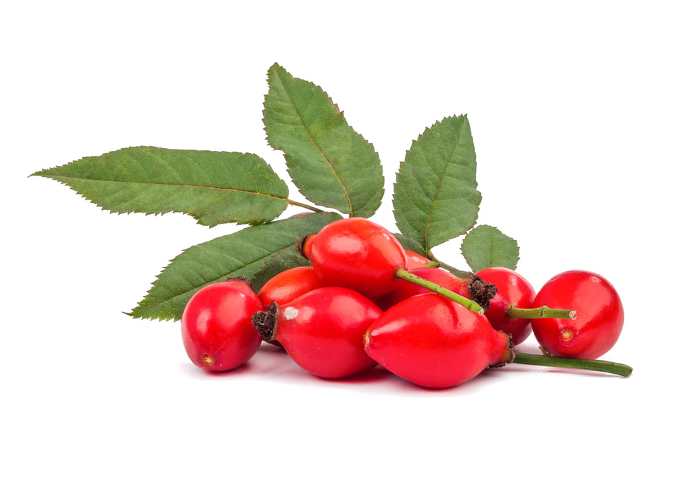 rosehip oil