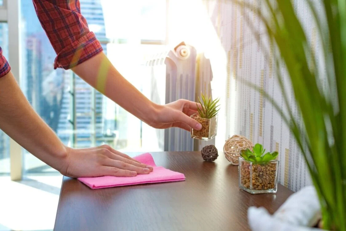 10 Tips To Cleaning Dust In The Home 2 cleaning