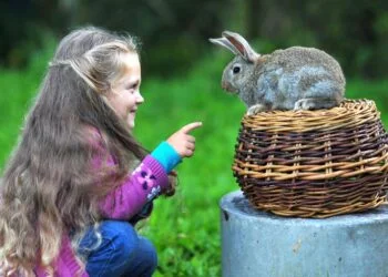 Children and pets the Most Loving Creatures 4 children