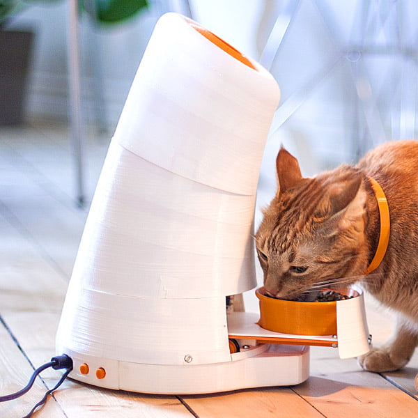The 4 Best Cat Feeders Of 2022