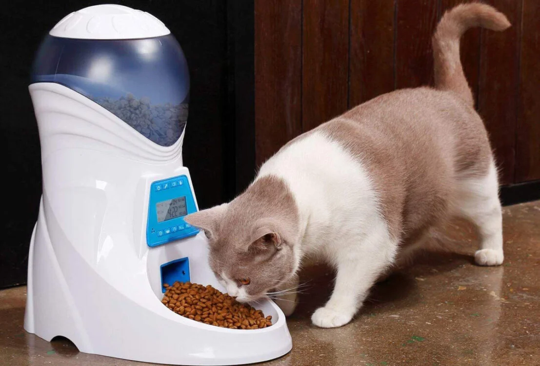 cat feeder