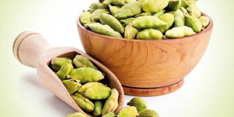 Health Benefits of Indian Spices 3 Cardamom