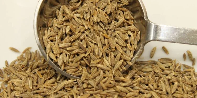 Health Benefits of Indian Spices 4 Cumin seeds