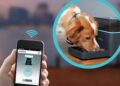 High-Tech Gadgets for Pet