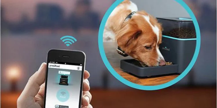 High-Tech Gadgets for Pet