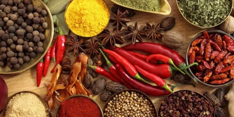 Health Benefits of Indian Spices 1 Indian Spices