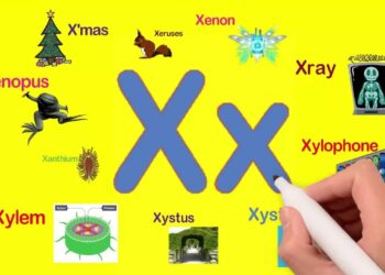 Words That Start With X