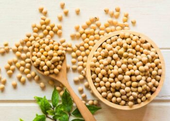 The origin of the soybean and its use in the kitchen 7 soybean