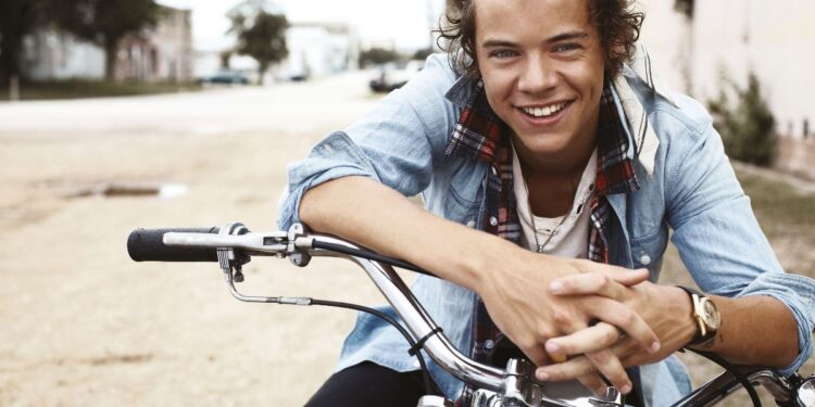 6 Gifts that Will Make Any Harry Styles Fan Scream with Joy 2 Harry Styles Poster