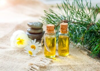 Your Guide to Woodsy Essential Oils and Fragrances 9 Woodsy Essential Oils and Fragrances