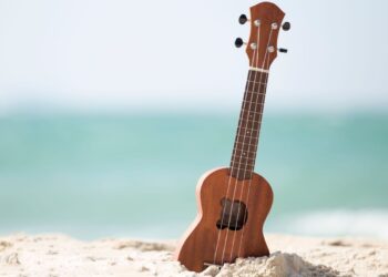 Which Type of Ukulele Is Best for Beginners