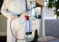 DIY Rodent Repellent Spray
