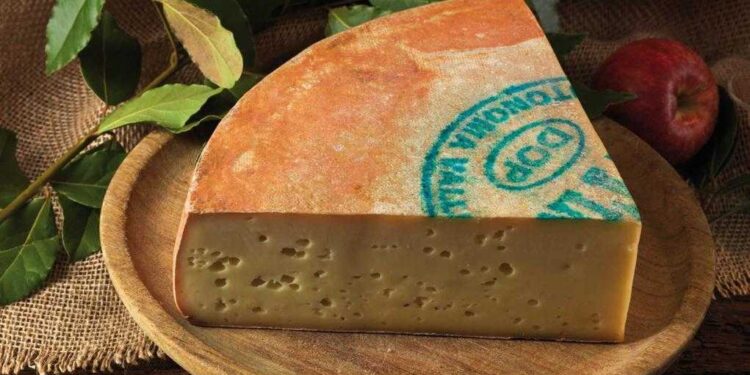 Fontina