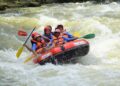 Group of people whitewater rafting