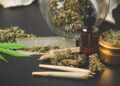 Ultimate Guide: How to Safely Keep and Carry a Herb pen While Trekking 2 Carry a Herb pen While Trekking
