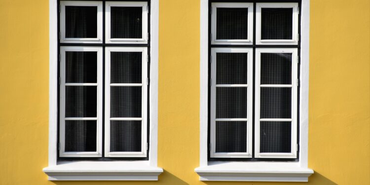 Window