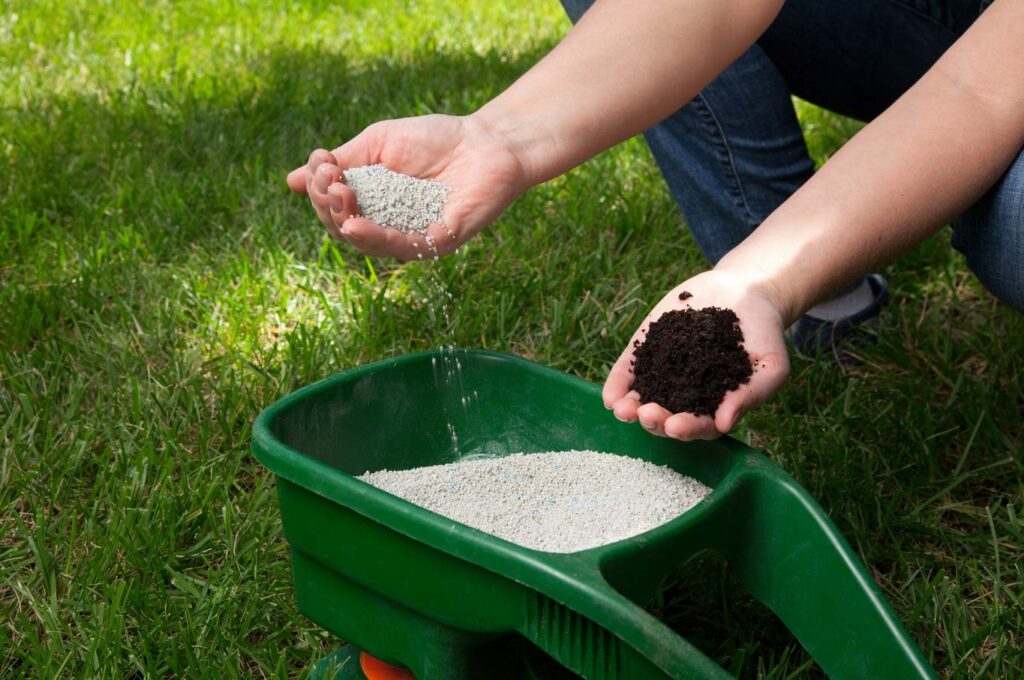 Fertilizers to lawn