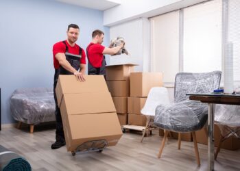 International Moving from Abu Dhabi